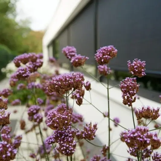 A SMARTER AND SAFER HOME