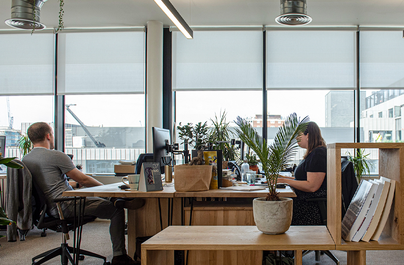 Grey roller blinds fitted across an open-plan office